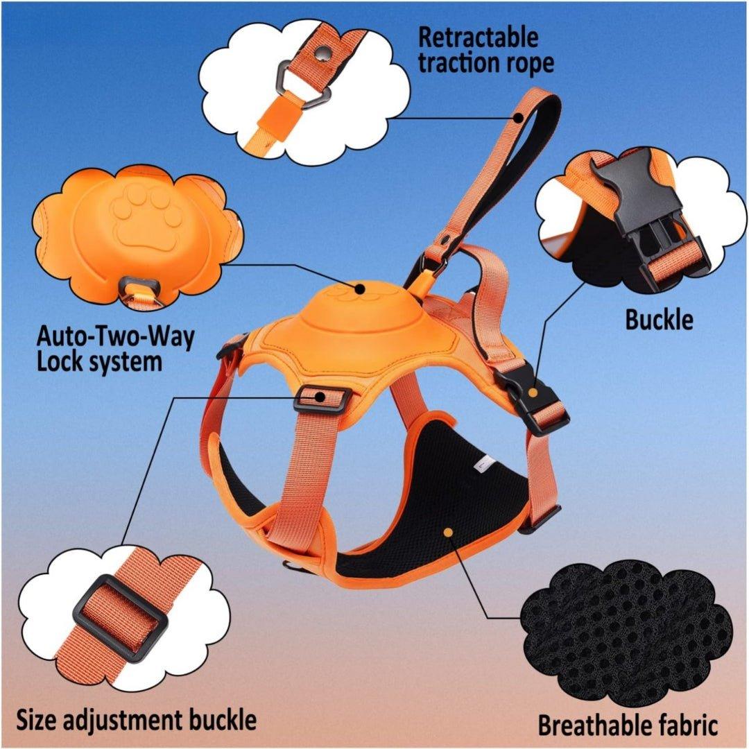 FlexoRiem™ l Hondentuig En Intrekbare Riem - Klikenkopen.nl