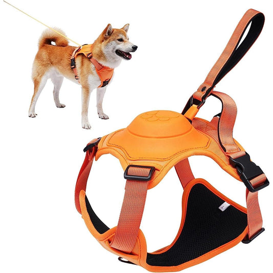 FlexoRiem™ l Hondentuig En Intrekbare Riem - Klikenkopen.nl
